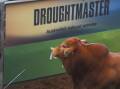 The Droughtmaster society has unveiled a new and unique slot auction style concept that will be introduced at this year's National Bull Sale in September. Picture: Lucy Kinbacher 