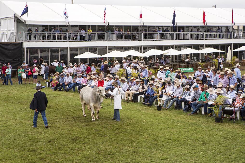 Crowd numbers are expected to rival previous events, with the predominantly outdoor event able to safely accommodate patrons in accordance with current health guidelines. Photo: Beef Australia