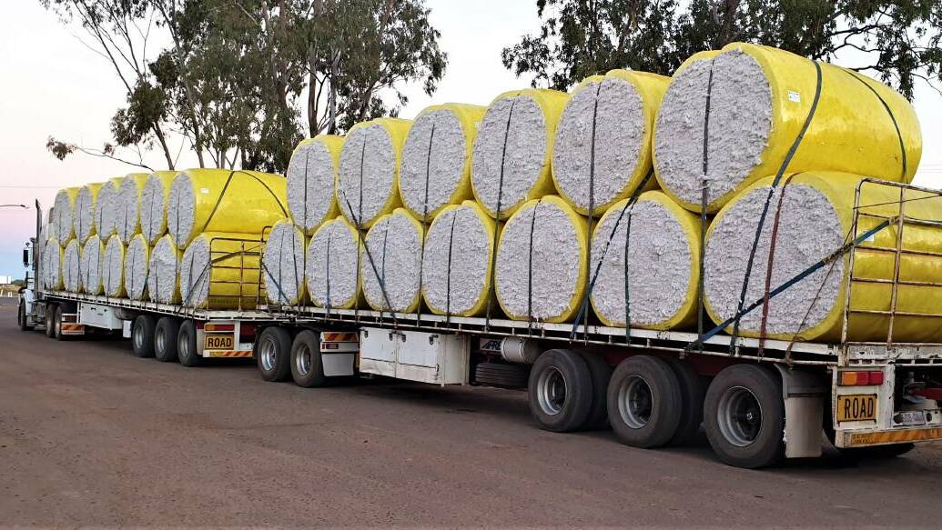One of many loads of cotton from north Australia on the way to gins in southern Queensland. Photo: Sally Gall. 