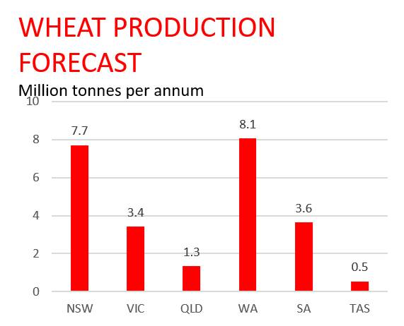 August rain a game changer for WA crop outlook