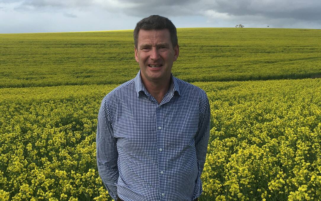 A GOLDEN DROP: NAB Senior Agribusiness Manager WA Brett Willmott says widespread August rain has been a game changer for the state's winter crop. 