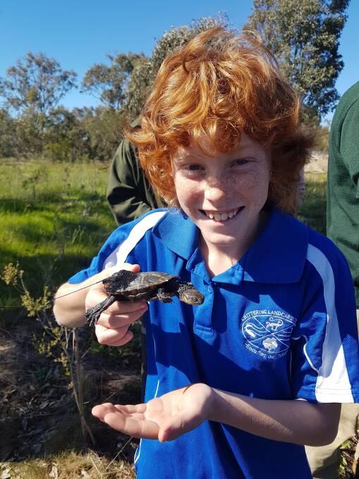 LANDCARER: Nash Young is about to release a Western Swamp Tortoise into Ellen Brook Nature Reserve. 