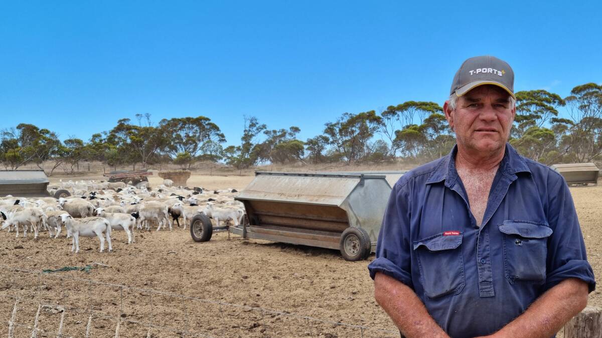 BETTER RESULTS: Bill Herde has seen a significant lift in resilience in his dorper weaners using Ruminant.