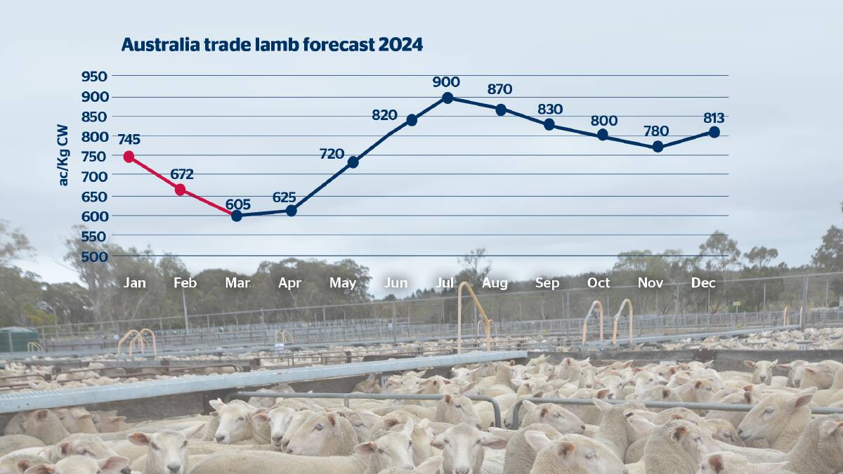 Simon Quilty of Global AgriTrends is forecasting a rise in lamb prices as winter approaches. 
