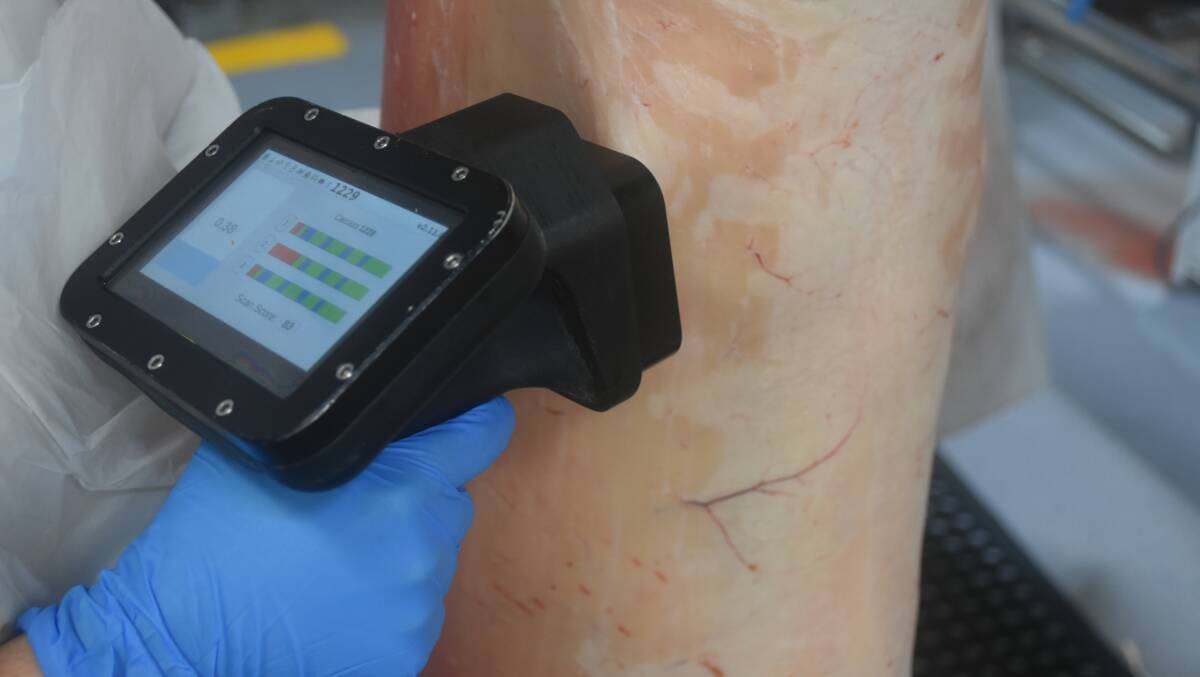 The newly accredited MEQ Probe in action predicting intramuscular fat in a lamb carcase.