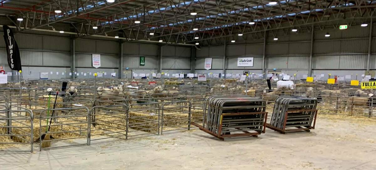 Everything was ready to go at the Australian Sheep and Wool Show when the snap lockdown was called. Photo -Craig Davidson.