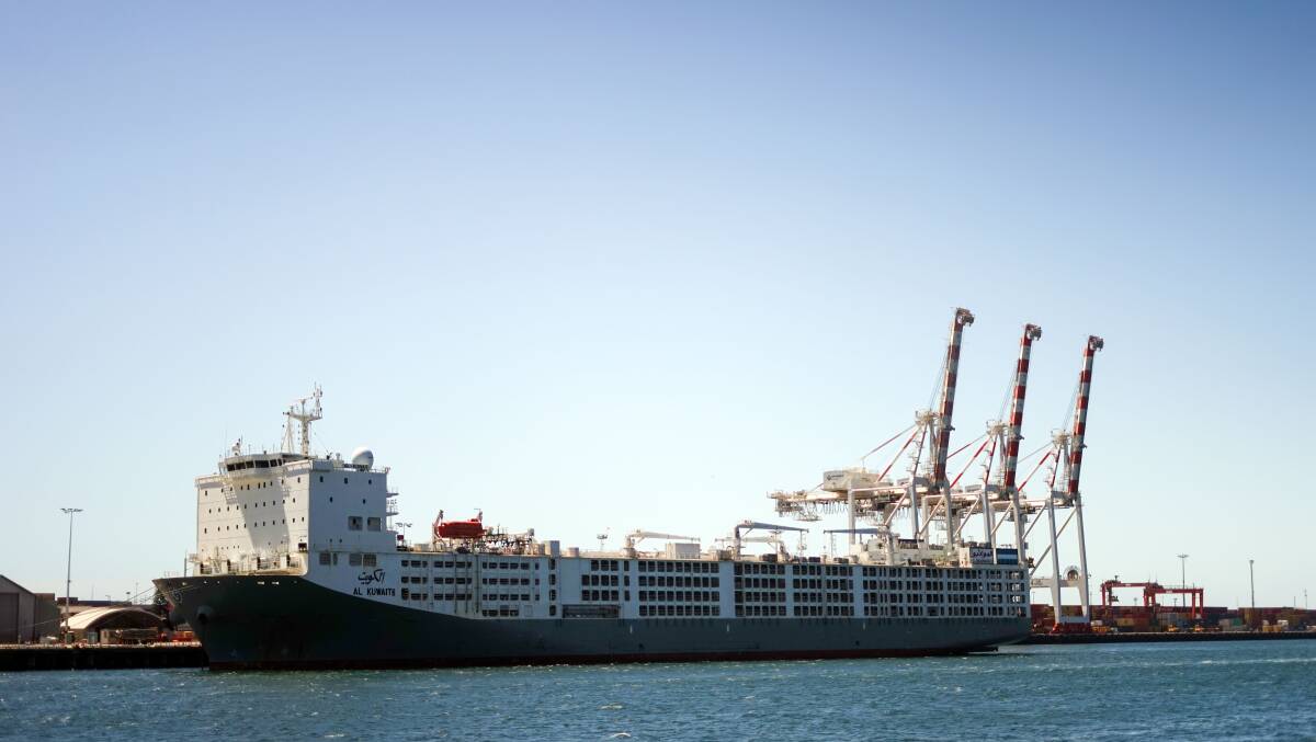 A live export vessel docked at Fremantle port. Picture via Shutterstock