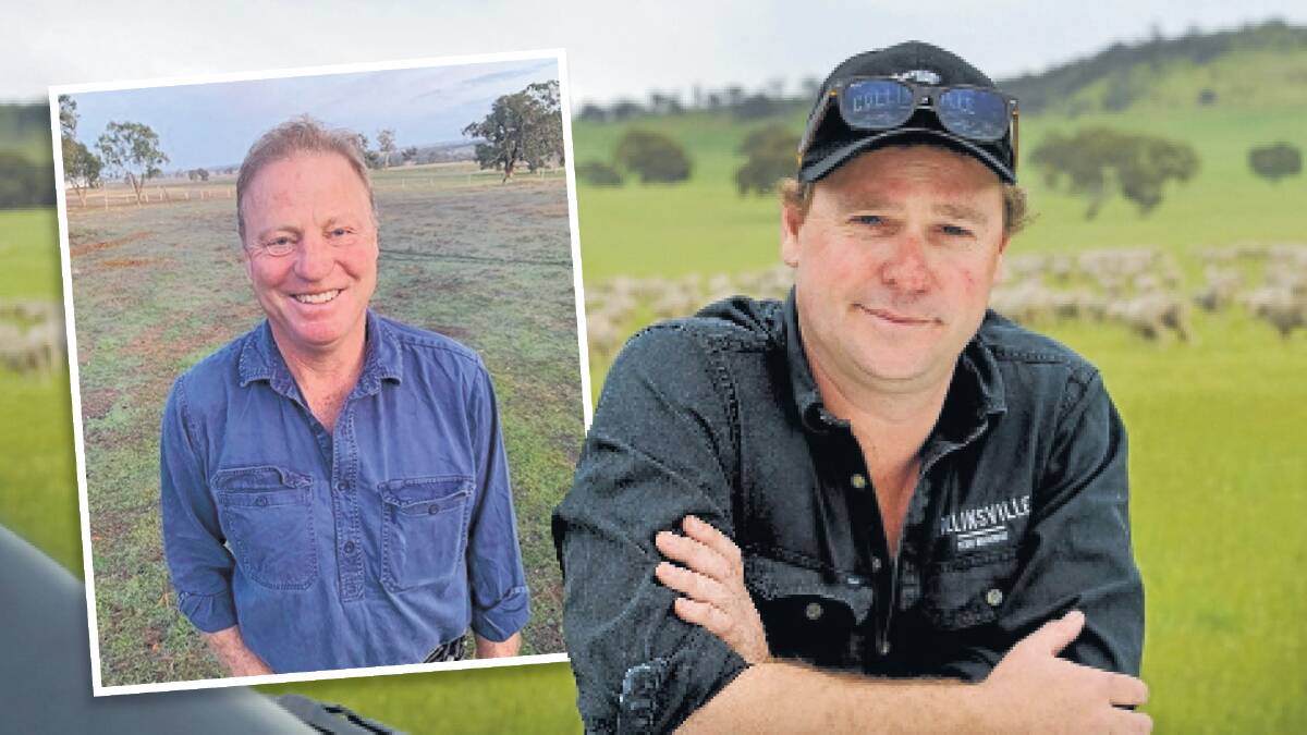 Wool growers Neil Jackson and George Millington both intend to run for the Australian Wool Innovation board. 
