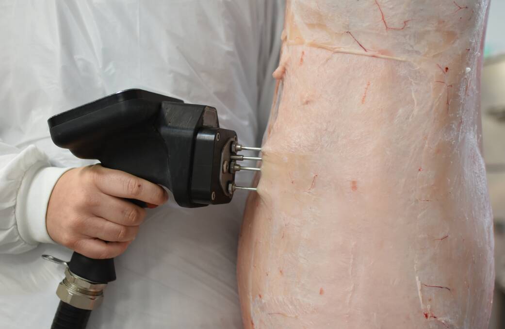 MEQ Probe technology uses spectral analysis to determine meat's intramuscular fat content. 