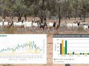 Meat & Livestock Australia has released its latest global goatmeat snapshot. 