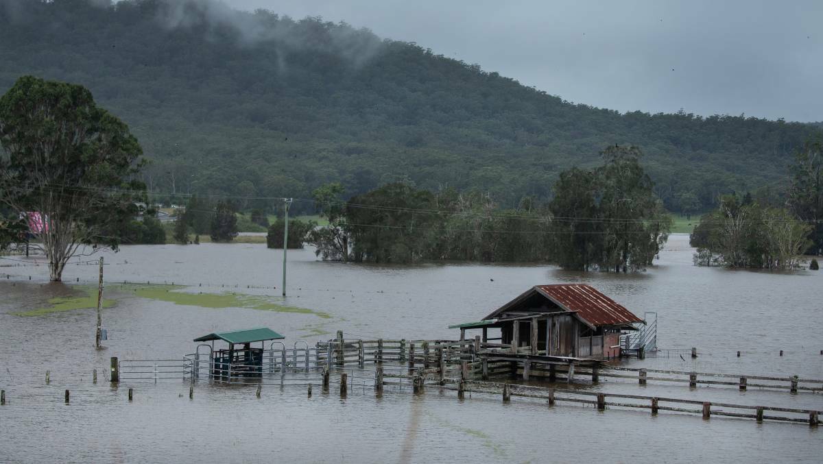 Flooded farmland at Taree.