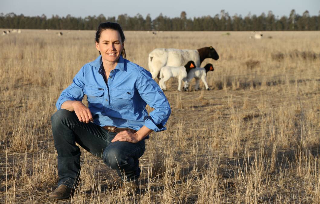 RIGHT FIT: Bellevue Dorper's stud manager Sophie Curtis says there are exciting times ahead for the Dorper breeds as the quantity of eating quality data on the sheep grows.