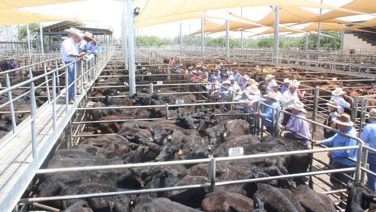 Some of the yarding on offer in Dubbo last week.