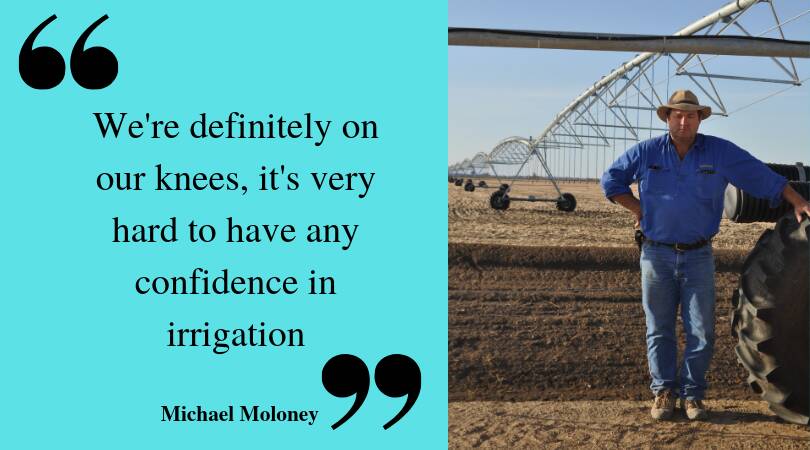 Jerilderie irrigator Michael Moloney carried over water last year and bought some to finish his winter crops, but says he has no fall-back this year. Photo: OLIVIA CALVER