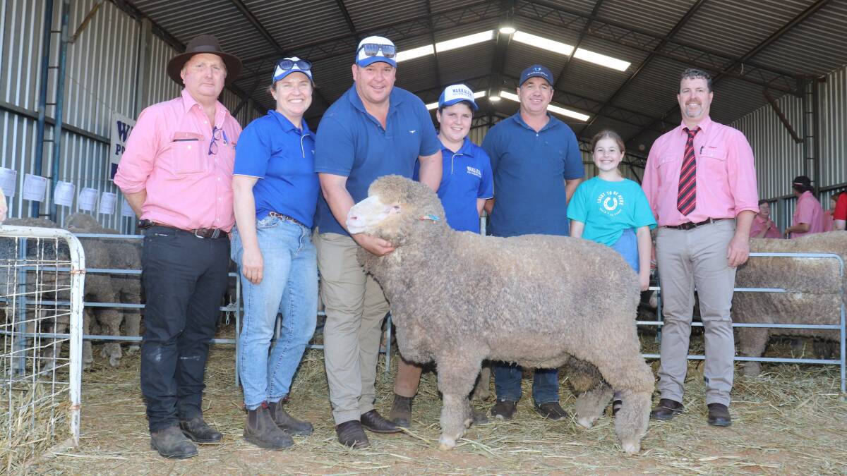 It was a ram from pen four that took out the sale's top price of $8000. With the ram were Elders, Albany representative Nigel Hawke (left), Warralea stud principals Chelsea and Jarrad King, with their son Fraser, buyers Grantly Mullan and his daughter Isla, buying on behalf of his brother Todd Mullan, Quailerup West Merino stud, Wickepin and Elders stud stock representative Nathan King.