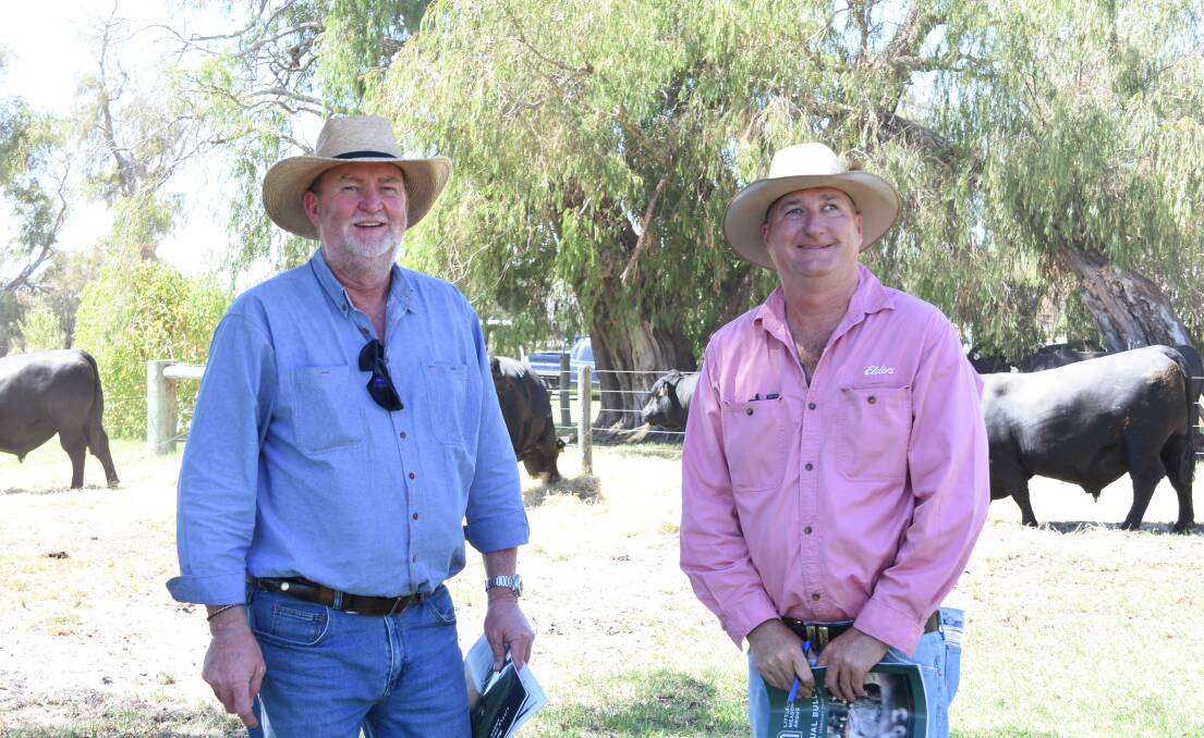 Alcoa Farmlands manager Vaughn Byrd (left), Wagerup and Elders, Waroona representative Wade Krawczyk had a major influence on the sale purchasing nine bulls to a top of $8000 and an average of $6389 for Alcoa Farmlands.
