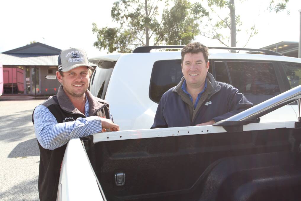 Chad Golding (left), Central Stockcare and Livestock Shipping Services (LSS) export manager Paul Keenan, following the Nutrien Livestock store cattle sale at the Muchea Livestock Centre last Friday where LSS was a prominent buyer of lightweight pastoral steers, heifers and bulls.
