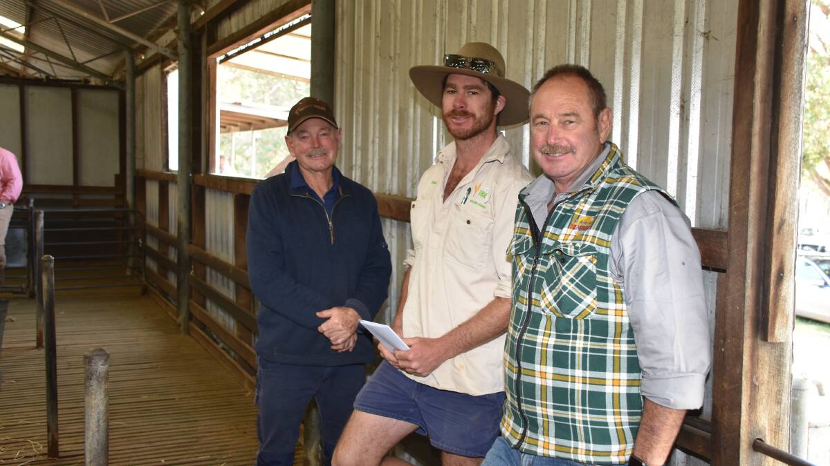 Inspecting the line-up of rams before the sale was long term buyers Ronald Tuckett (left), RL & HM Tuckett, Boyup Brook with Chad and Bevan Tuckett, BJ & KA Tuckett, Ravensthorpe. In the sale Ronald purchased seven rams at an average of $1886 while Chad and Bevan secured a team of nine at an average of $1700.
