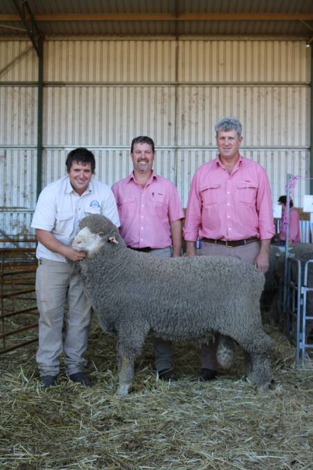 With the $9000 second top-priced ram bought by San-Mateo stud, Brookton, were Seymour Park co-principal Clinton Blight (left), Elders stud stock specialist Nathan King and Elders livestock manager Narrogin, Paul Keppel.