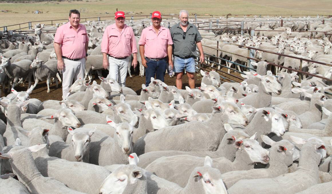 With the 1200 Border Leicester-Merino 1.5yo ewes which sold to a $64 top price for a line of 200 ewes at the 23rd annual Riverbend on-property ram and ewe sale at Eneabba last week were Elders stud stock manager Tim Spicer (left), who represented top-priced buyers Glenbrae Farms, Rosa Brook, Elders auctioneer Graeme Curry, Elders Mingenew agent Ross Tyndale-Powell and Riverbend Poll Dorset and Border Leicester stud principal Chris Patmore.
