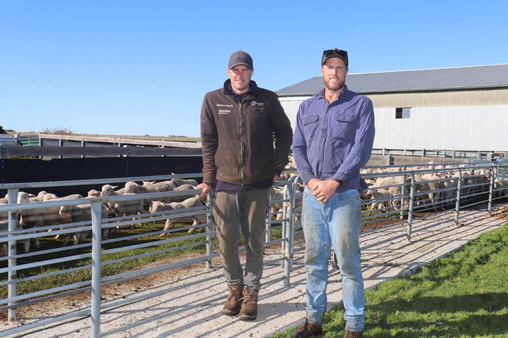 Brothers and business partners, Tim (left) and David Pyle manage 6480 hectares at Manypeaks, with the help of their father Jeff, Tims wife Vanessa and their two sons and Davids wife Gemma and their four boys.
