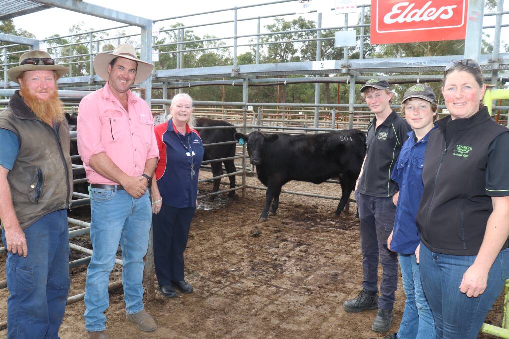 With the charity heifer offered by the Roberts family, CharCol Springs, Manjimup, at last weeks Elders Boyanup store sale was vendor Charlie Roberts (left), Elders Manjimup representative Cameron Harris, Royal Flying Doctor Service (RFDS) community fundraising co-ordinator Brenda Malauski, and Jack, Harry and Coleen Roberts. The proceeds from the heifer, which was bought for $3200 by Elders Busselton representative Jacques Martinson on behalf of John Annear, JW Annear, Carbunup, went to the RFDS.
