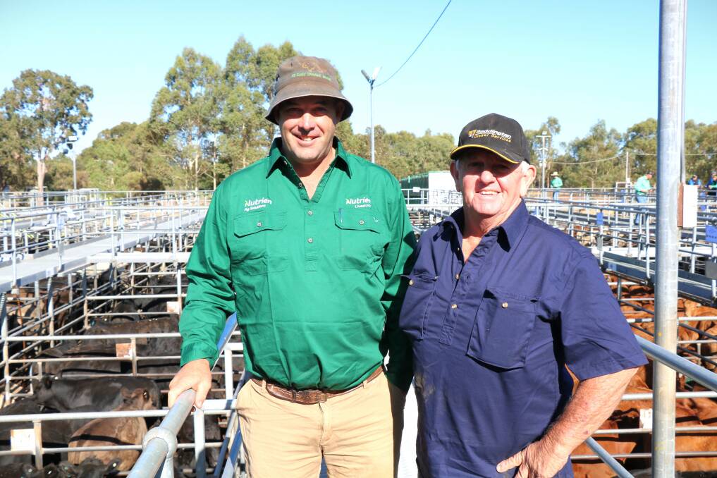 Nutrien Livestock, Williams agent Ben Kealy (left) was at the sale with client Terry Salmeri, Boddington. Mr Salmeri sold several lines of cattle to $1077
