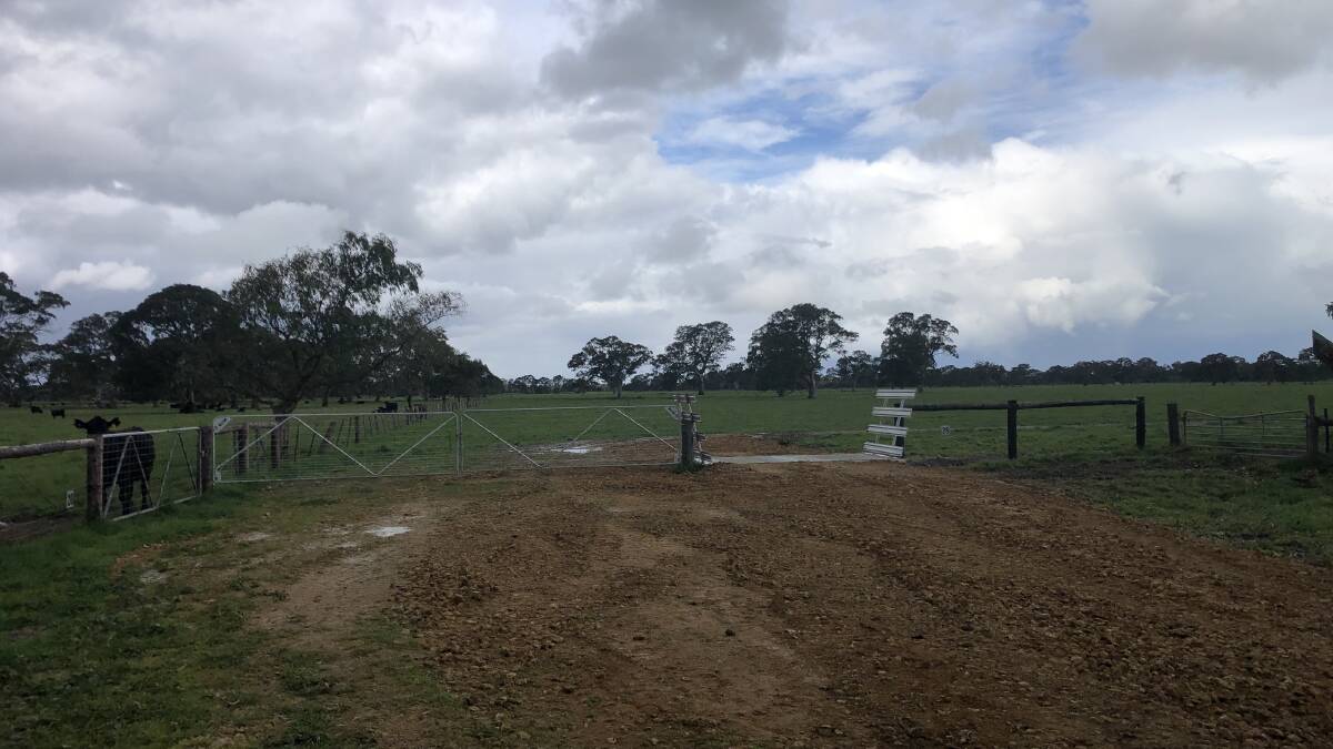SHAKING IT UP: Successful rotational grazing in smaller paddocks has been made possible with spending on improved fencing, roads, gates and grids.