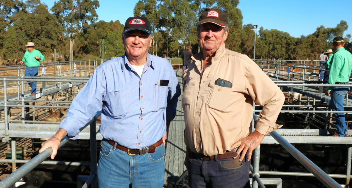 Stalwarts of the South West cattle sale scene John Gallop (left), Mandurah and Kim Tuckey, Kookabrook, Pinjarra, before the sale where they both purchased several pens of cattle.
