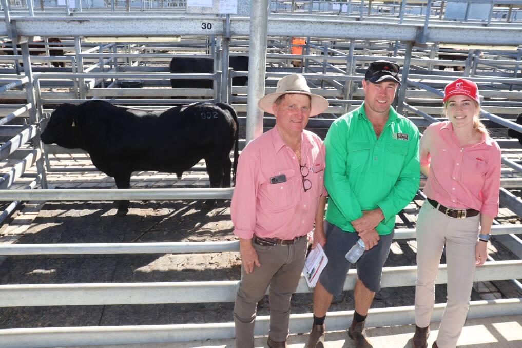 With the top price Simmental bull, Stirling End T011, selling to Elders Albany agent Nigel Hawke (left), MJE Grazing, Albany, for $6000 is Stirling End stud co-principal Jeff Stoney with Elders Albany branch rural products representative Courtnee Brown.
