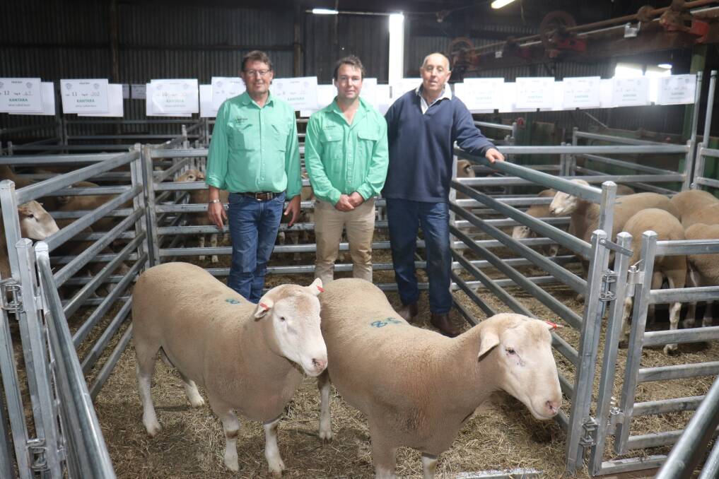 Two rams sold to a top of $1600 in the Kantara sale, with the first ram in pen eight purchased by JN & C Stone, Borden, and the second ram in pen 38 selling to IC & C Faulkner, Kukerin. With the rams are Nutrien Livestock Breeding representative Roy Addis (left), Nutrien Livestock, Dumbleyung agent Scott Jefferis and Kantara stud co-principal Keith Ladyman.
