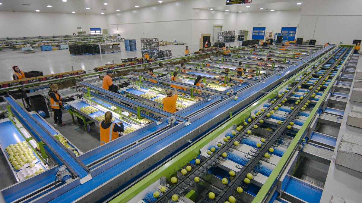 BREAKING BARRIERS: Using a clear span design has provided unimpeded floorspace for vehicles and innovations in sorting and packing logistics under one roof.
