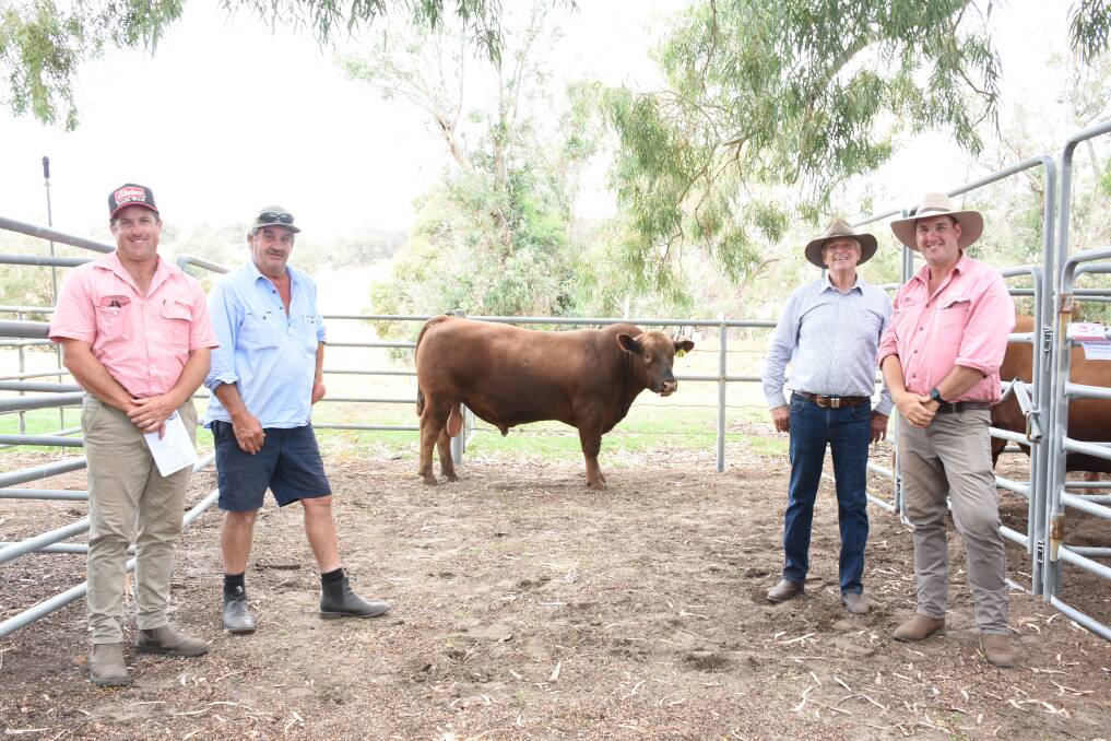 Prices hit a high of $10,500 for this Kingslane sire at the Kingslane and Magic Valley Red Angus bull sale at Benger. With the bull were Elders, Harvey/Brunswick agent Craig Martin (left), buyer Stephen Knipe, Knipe & Co, Bridgetown, Kingslane principal John Cranston and Elders, Manjimup representative Cameron Harris, who helped Mr Knipe purchase the bull.