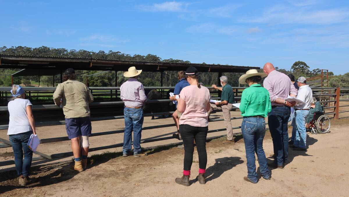 Gandy Angus stud owners Kim and Lex Gandy hosted an MLA Bredwell Fedwell workshop at their Manjimup property on October 17, which was well-attended by southern cattle producers. The practical workshop demonstrated to attending producers how profitability and productivity can be improved through breeding and feeding strategies.
