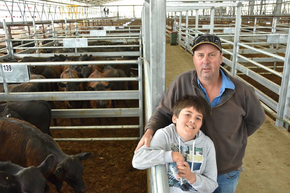 QUALITY STEERS : Graham Johnson, Springbank, Naracoorte, and his son Mitchell, at the opening weaner sale held at Naracoorte in December.