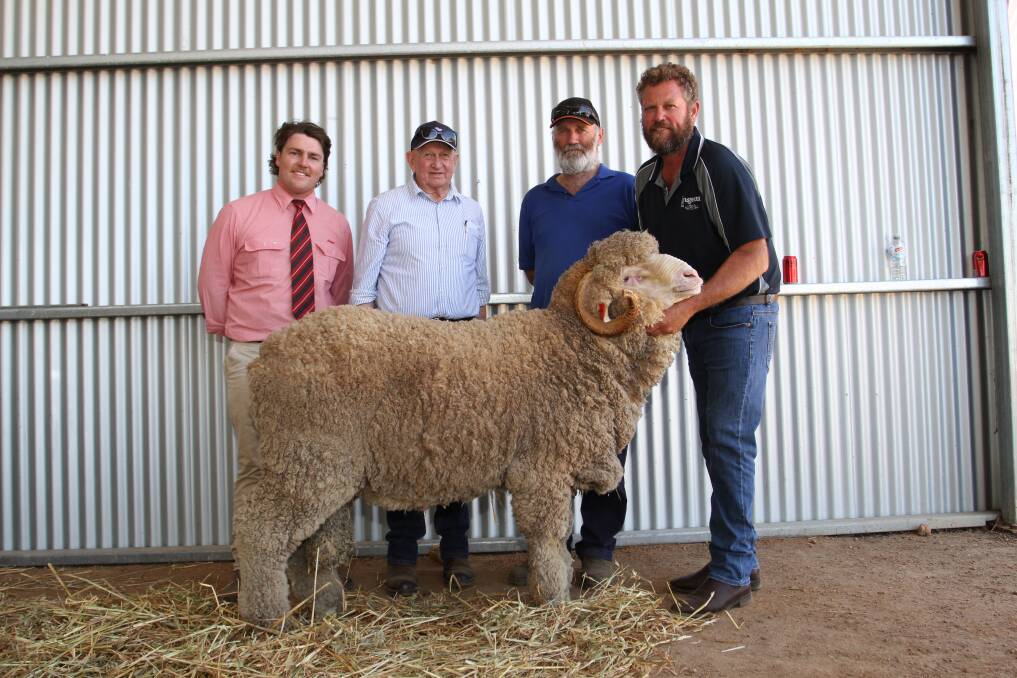With the $8000 top-priced Merino ram at the 46th annual Angenup on-property Merino and Poll Merino ram sale at Kojonup last week, purchased by the Mallibee stud, Wannamal, were Elders Kojonup representative Liam Want (left), Mallibee stud consultant Bruce Cameron, buyer Roger Glover, Mallibee stud and Paul Norrish, Angenup stud.