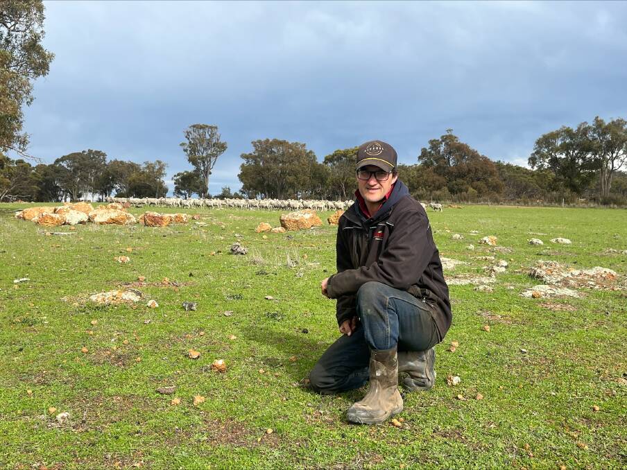 Third-generation Merino producer Theo Cunningham is using science to drive his flock to success at his family-owned Cranbrook property, Beeac Estate.
