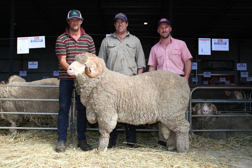  With the new $19,000 stud record top-priced Merino ram at the 34th annual East Strathglen on-property ram sale at Tambellup last Friday were East Strathglen stud principal Rohan Sprigg (left), buyer Daniel Patterson, Redwood Enterprises Pty Ltd, Tambellup, and Elders auctioneer and Gnowangerup representative James Culleton.
