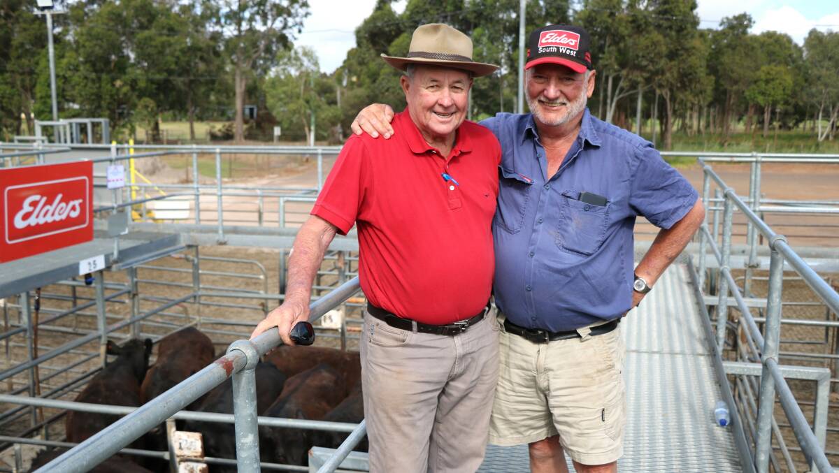 Neil Foale (left), Boyanup and Trevor Scott, Dardanup, caught up at the Elders Day One Beef Store cattle sale at Boyanup last week where Mr Foale was keeping an eye on the cattle he supervises for friends.
