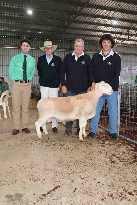 Nutrien Livestock auctioneer Austin Gerhardy (left), with Dawson and Dawson Bradford and Josh Burton, Hillcroft Farms and the UltraWhite ram which was bought by GA Treweek & WL Whelan, Induro stud, Wakool, New South Wales, for $16,000.