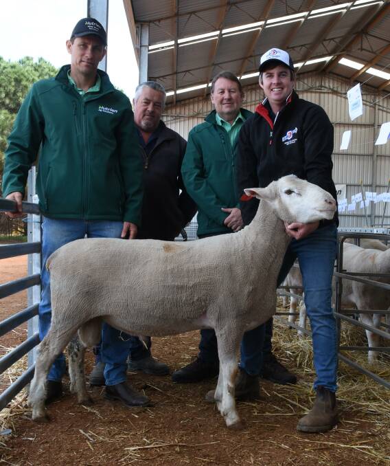 With one of the $1700 equal top-priced White Suffolk rams in the sale were Nutrien Livestock, Wickepin agent Ty Miller (left), the rams buyer Brad Tapscott, DJ Tapscott, Pingrup, Nutrien Livestock Breeding representative Roy Addis and Kolindale co-principal Luke Ledwith. The second ram to sell at $1700 was purchased by Bellaking Grazing Co, Katanning.
