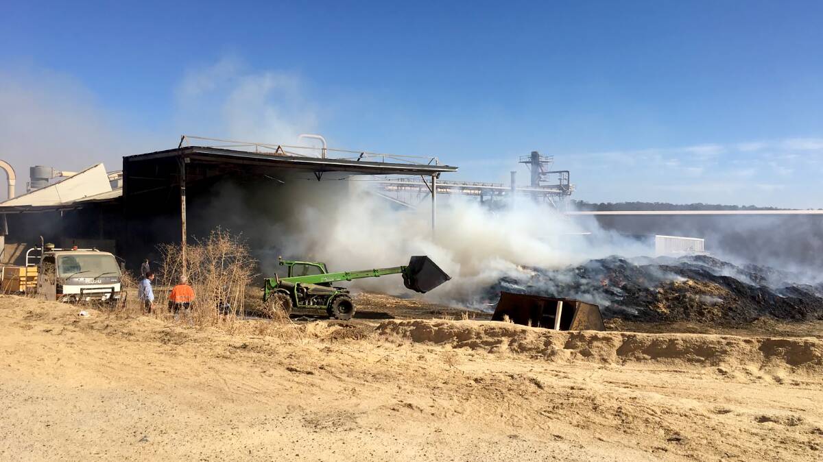 WA's biggest sheep pellet producer, Macco Feeds, went up in smoke two weeks ago but is back in production.