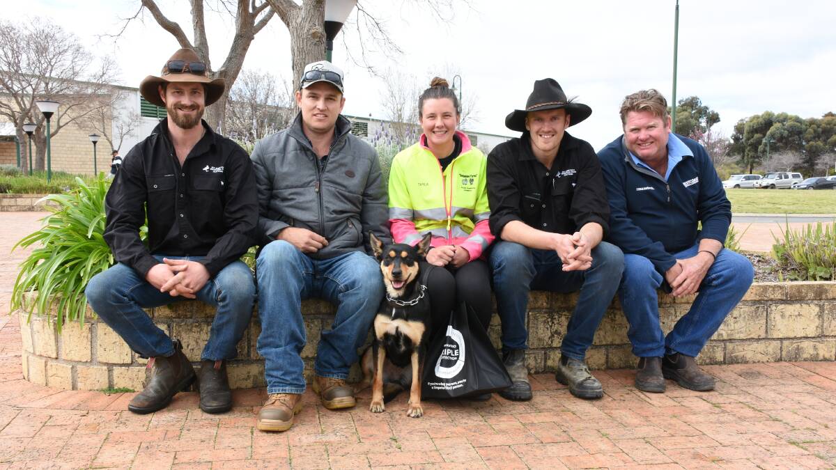 Prices hit a high of $12,000 in the working do auction at last weeks Rabobank WA Sheep Expo & Merino Ram Sale at Katanning for this 21-month-old black and tan Kelpie bitch, Bending Emmy, when it sold to the Tayla Hill, Glenpadden, Kojonup. With Emmy after the sale were sale organiser Blake Robinson (left), Frankland River, vendor Tim Bending, Bending Kelpies, Pinjarra, Glenpadden feedlot manager Tayla Hill, sale organiser Jim Harradine, Arthur River and Westcoast Rurals Lincon Gangell.