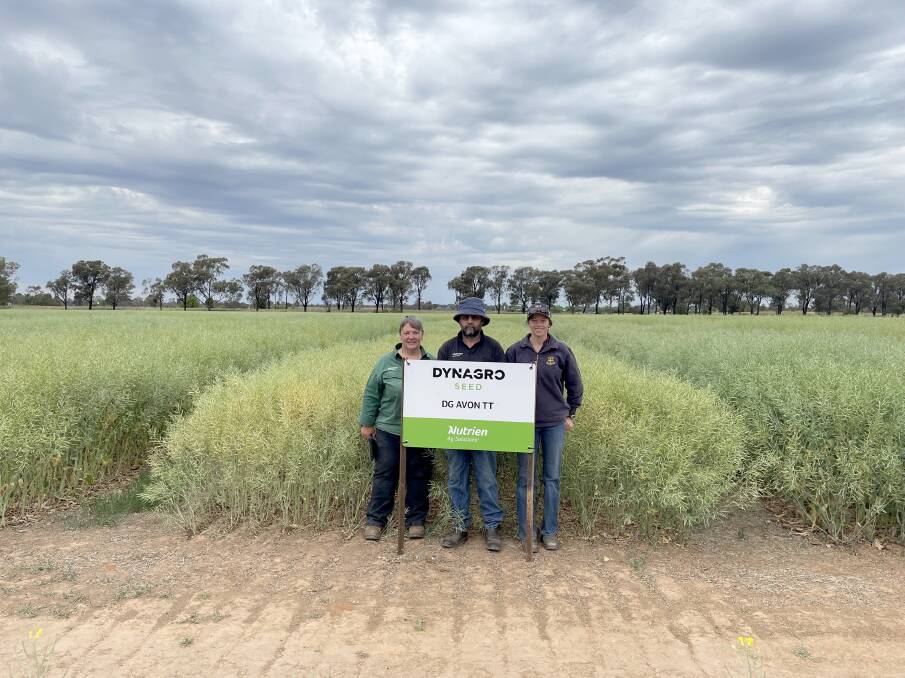 Nutrien Ag Solutions senior canola breeder Kate Light (left), product development and technical services agronomist Andrew Lockley and work experience student Chelsea Golder in front of the DG Avon TT canola trial crop in Temora, Victoria.
