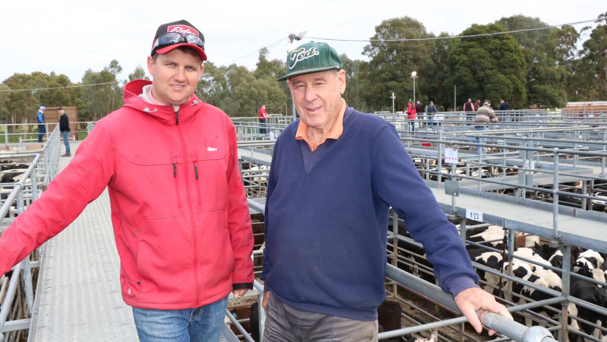 Elders, Boyanup representative Alex Roberts (left) checked out the steers on offer with client, Laurie Della Sale, Crooked Brook.
