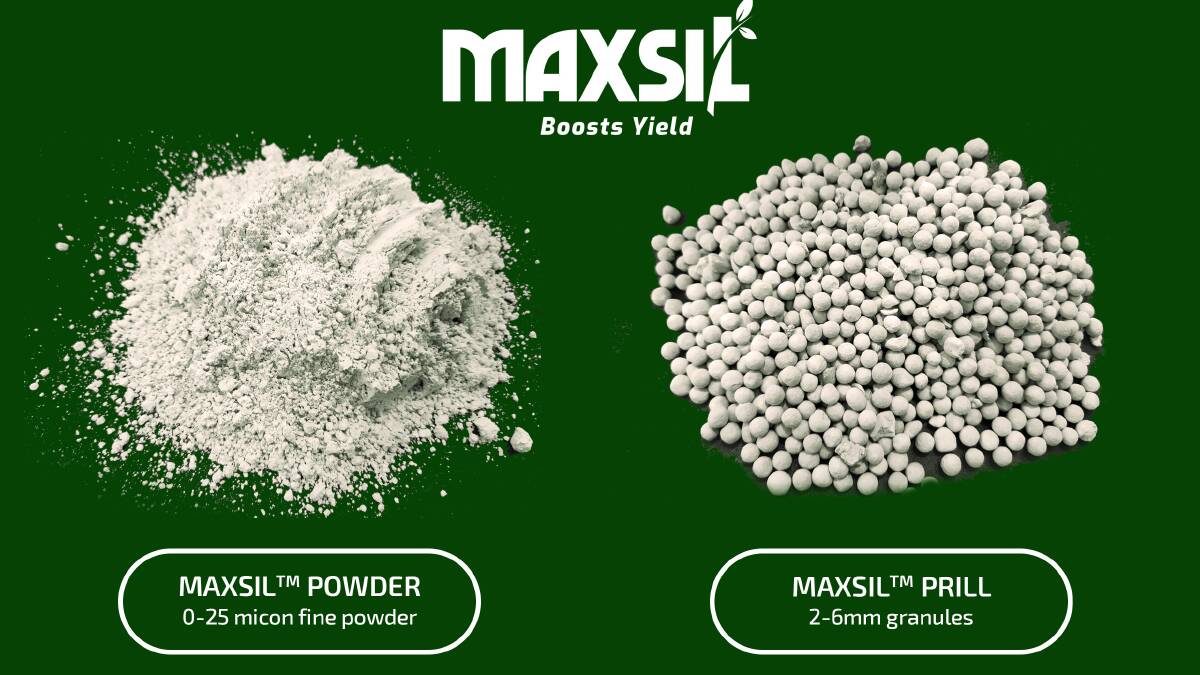 MaxSils two products include a fine powder and a 2-6mm sized granule silicon fertiliser.