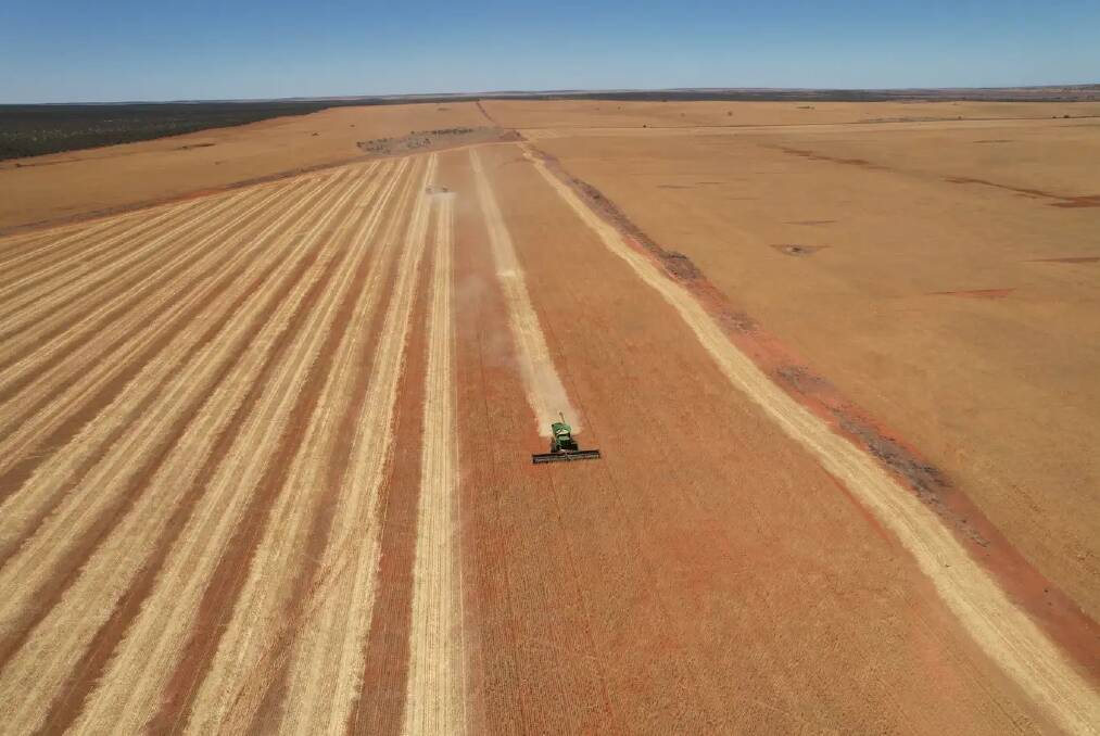 Big cropping property sells for new area record price in WA's northern Wheatbelt
