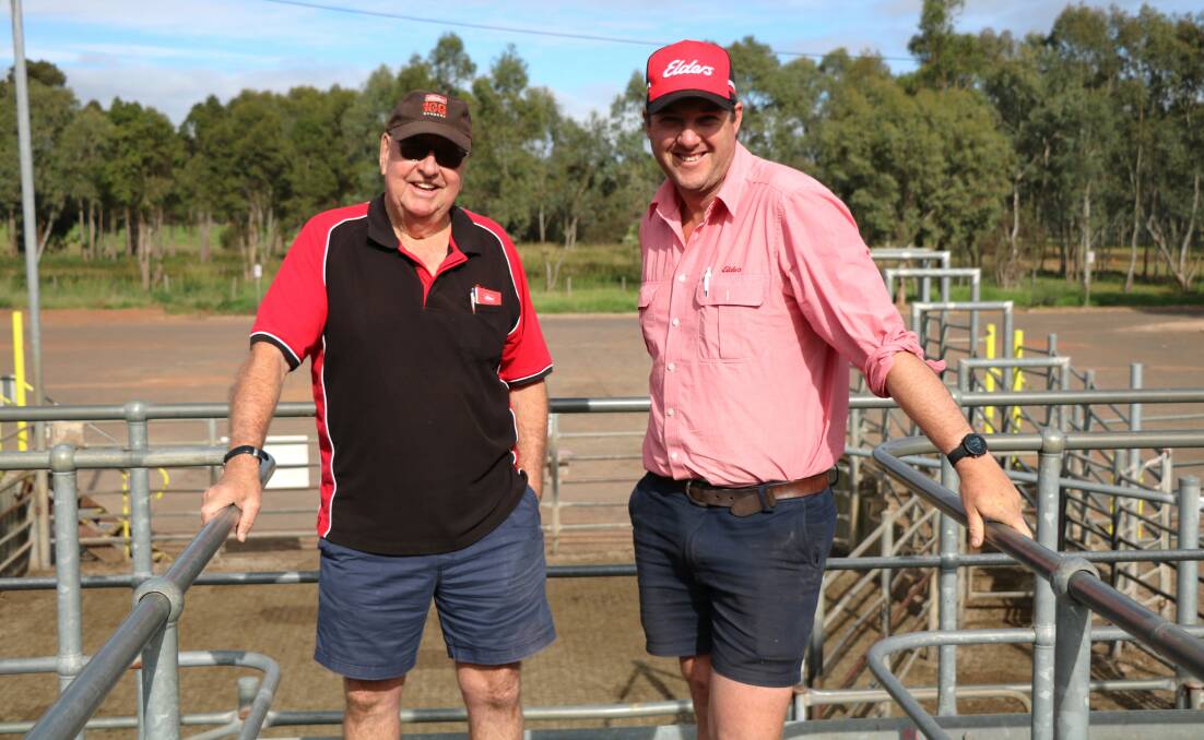 Terry Tarbotton (left), Elders, Nannup, with Cameron Harris, Elders, Manjimup, before the Boyanup beef store cattle sale.
