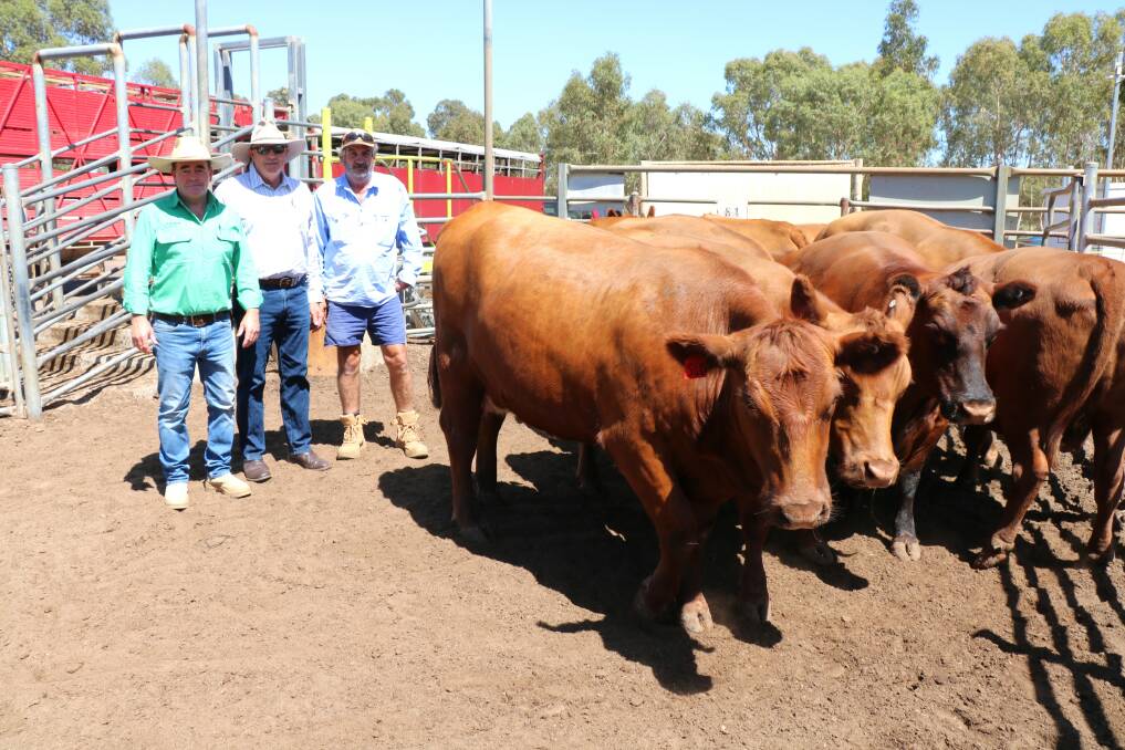 With the Red Angus cows in the sale that sold for $2550 were Nutrien Livestock, Boyup Brook agent Jamie Abbs (left), vendor Peter Johnston, Crooked Brook and buyer Steve Knipe, Bridgetown.
