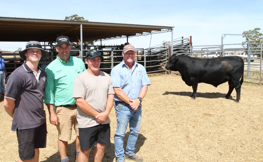 The inaugural offering of purebred Angus bulls at the Willandra sale topped at $12,000 for Willandra Tenor T10 (by Koojan Hills Traction P40). With the top-priced Angus bull were Charlie Cowcher (left), Willandra stud, Nutrien Livestock, Williams agent Ben Kealy, buyer Todd Nancarrow, HNH Grazing Company, West Coolup and Willandra stud co-principal Peter Cowcher.
